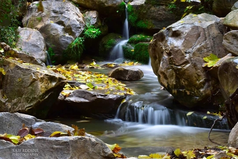 cascade