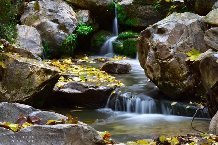 cascade