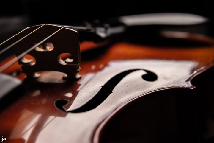 Violin
