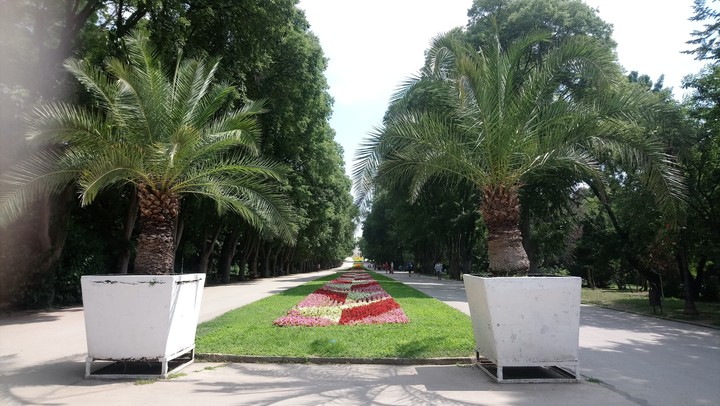 Sea garden