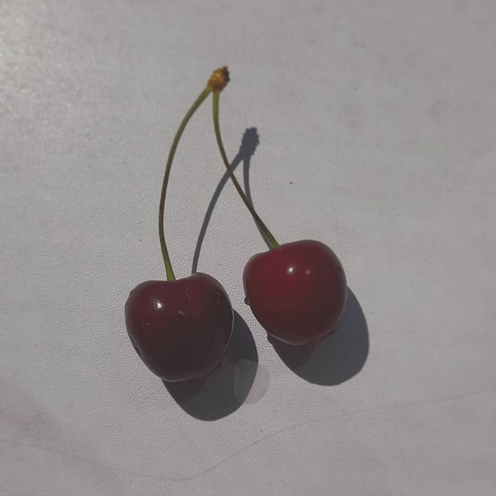 черешня