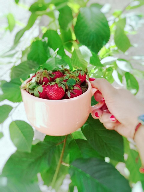 Strawberry ?