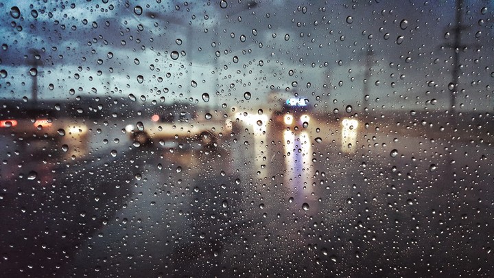in the rain