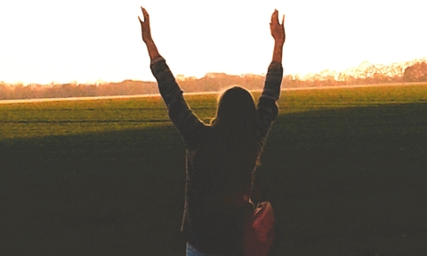 hands up