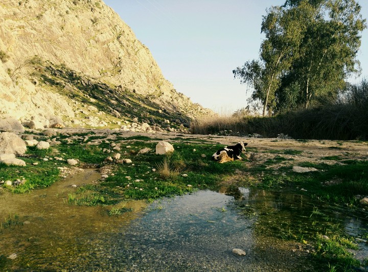 nature