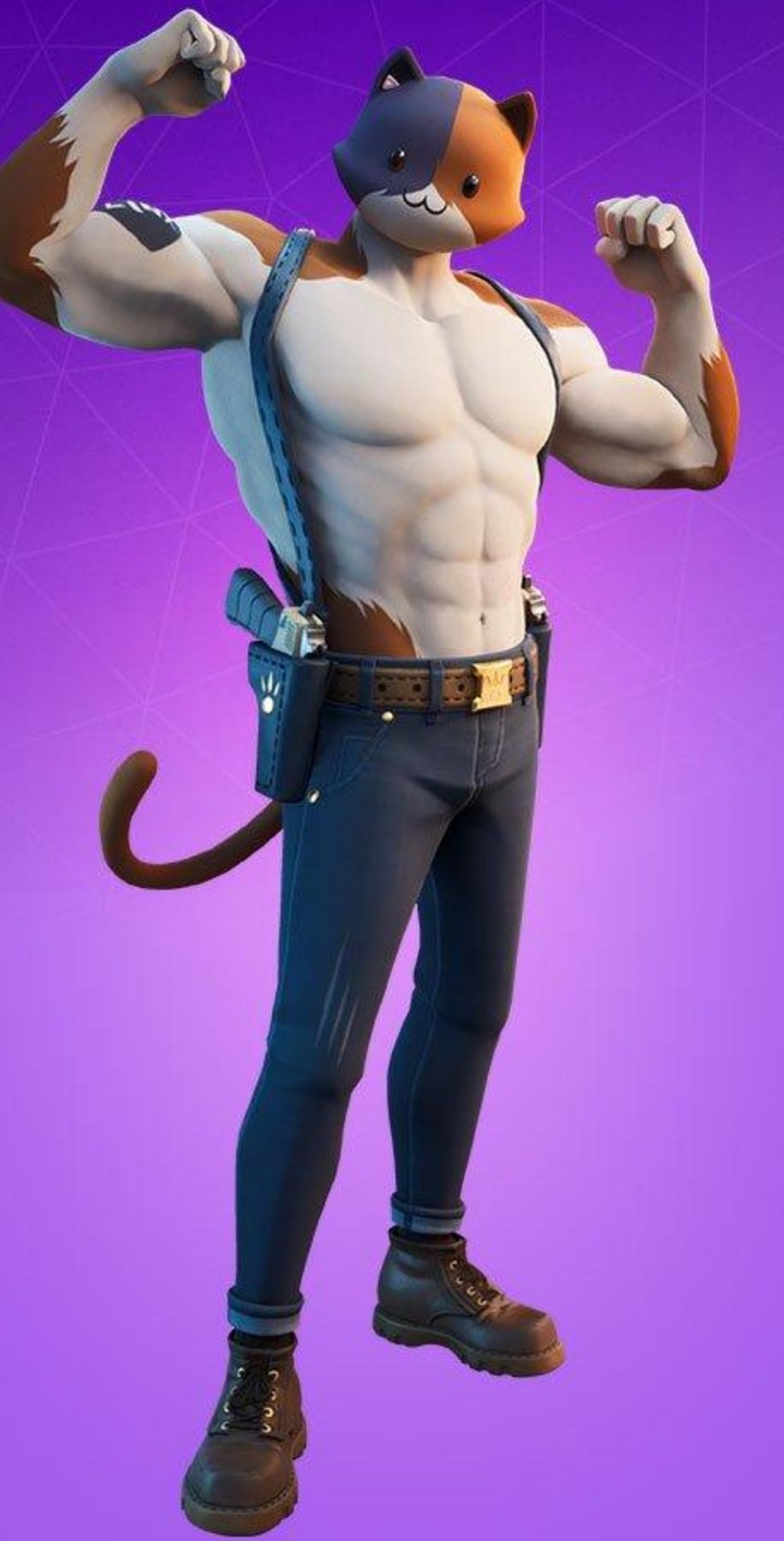 Meowscles