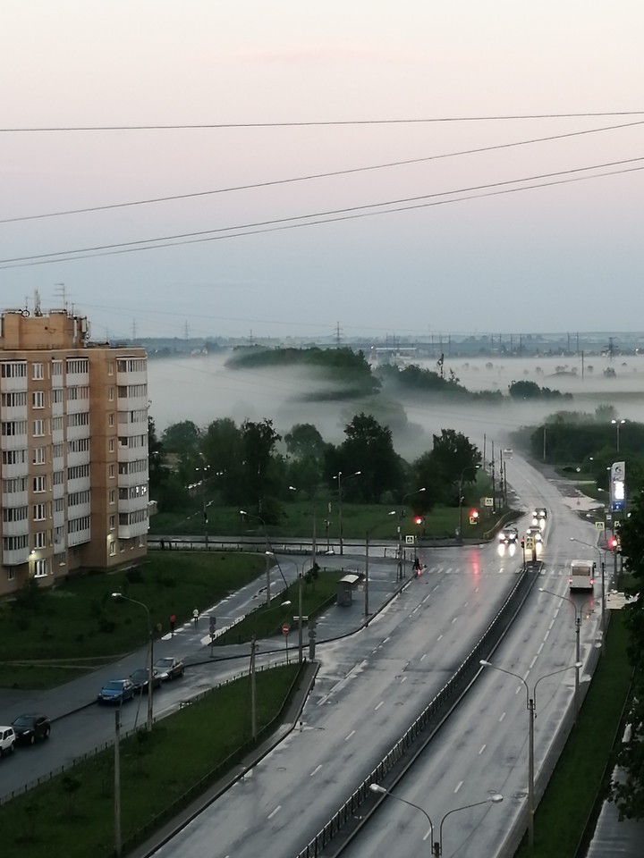 туман