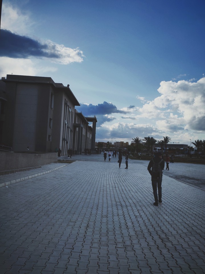 university