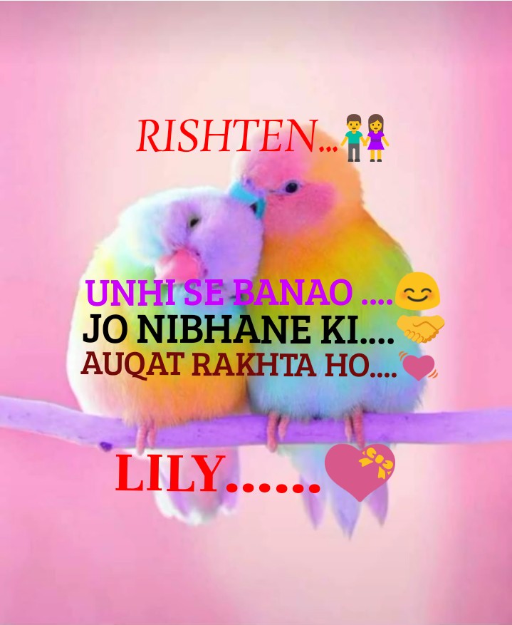 love bird....