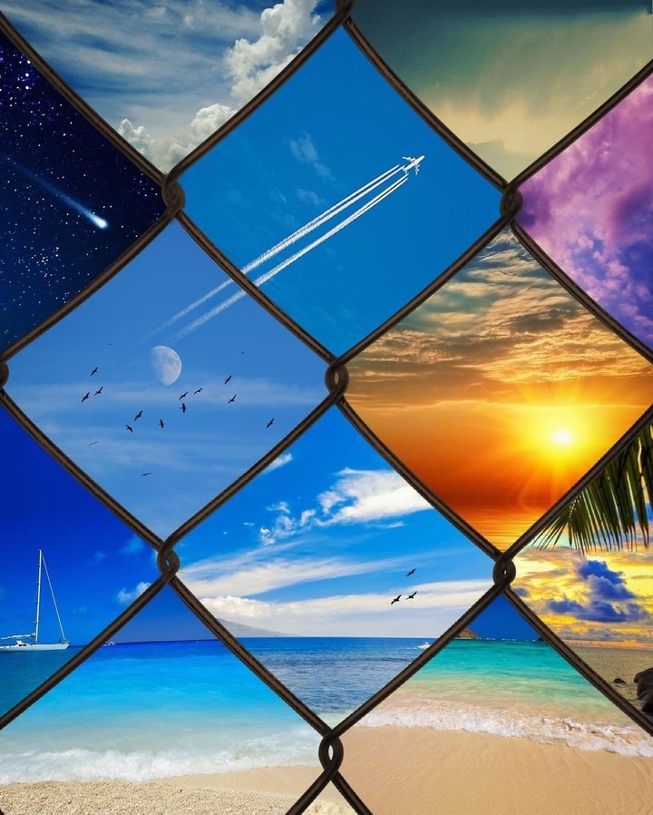 collage...