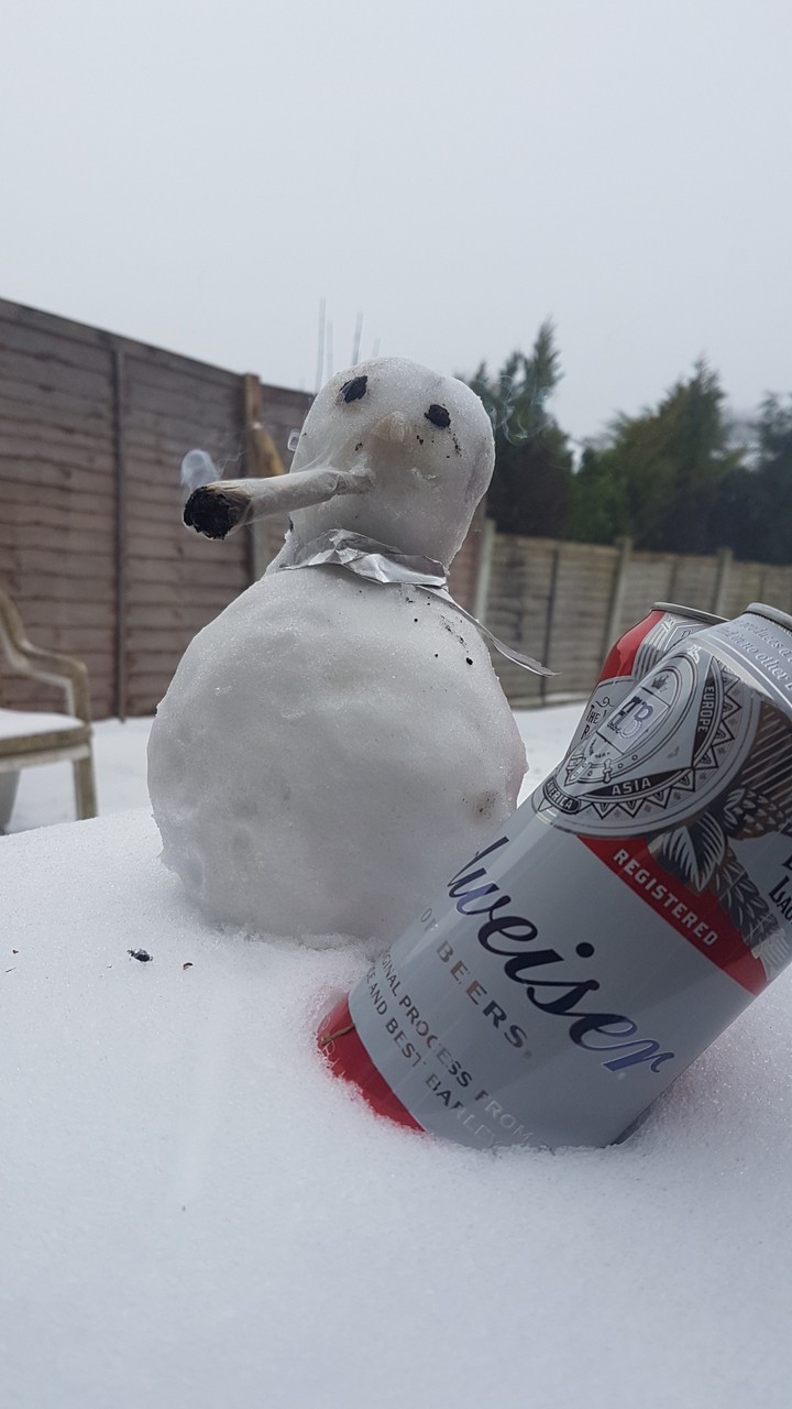 snow man chilling
