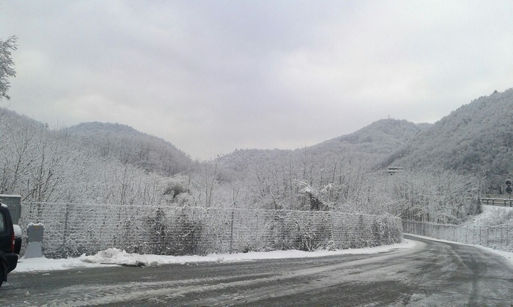 snow