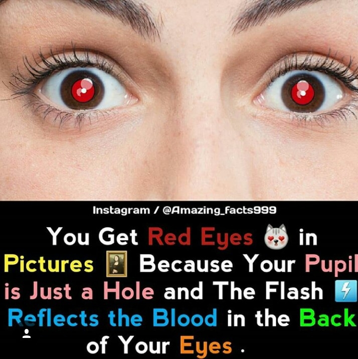 amazing fact 