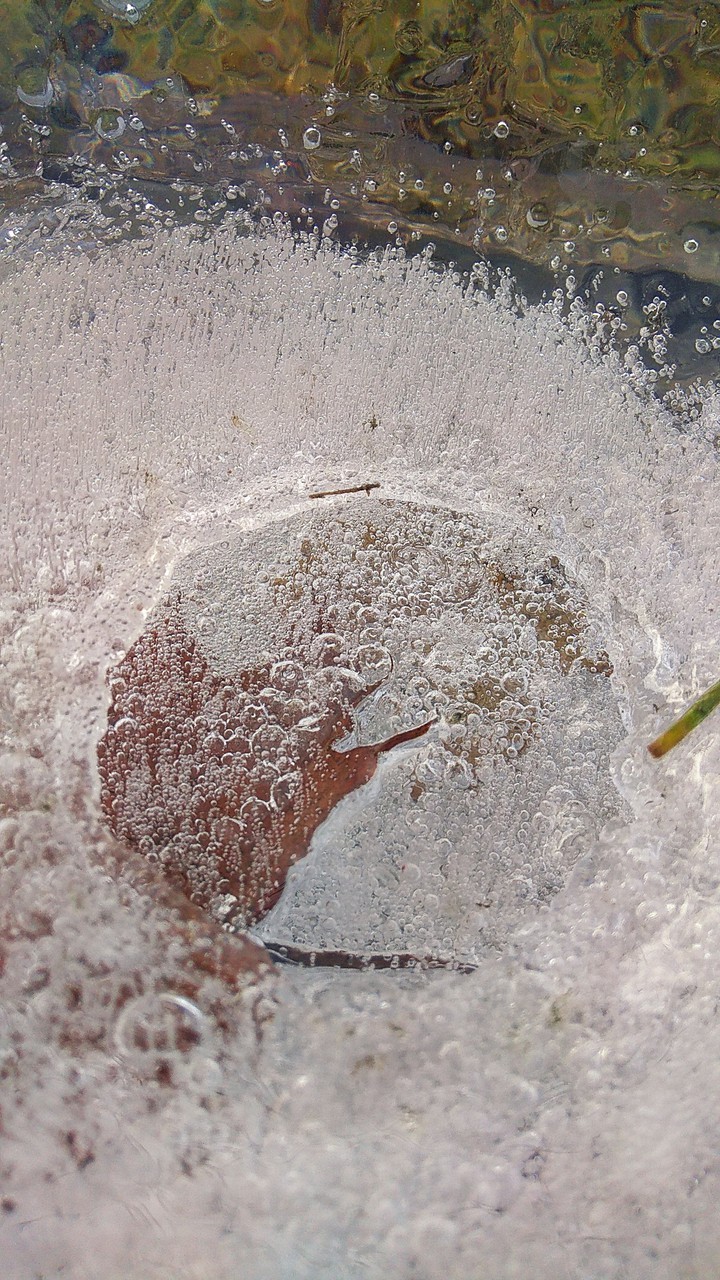frozen in ice
