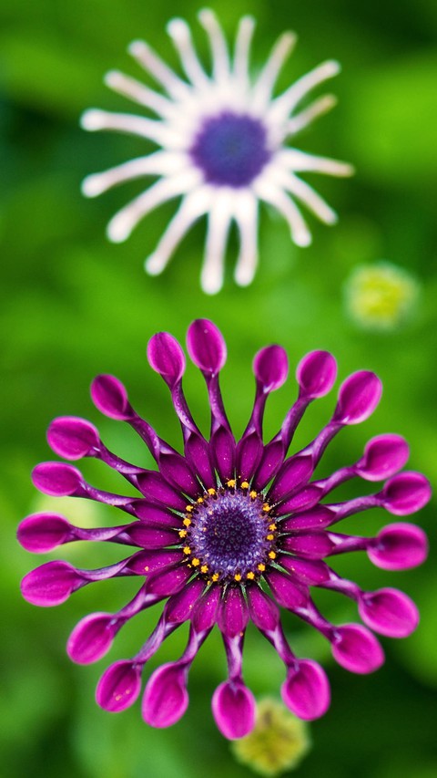 nature
