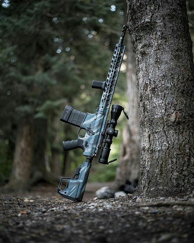 Gun