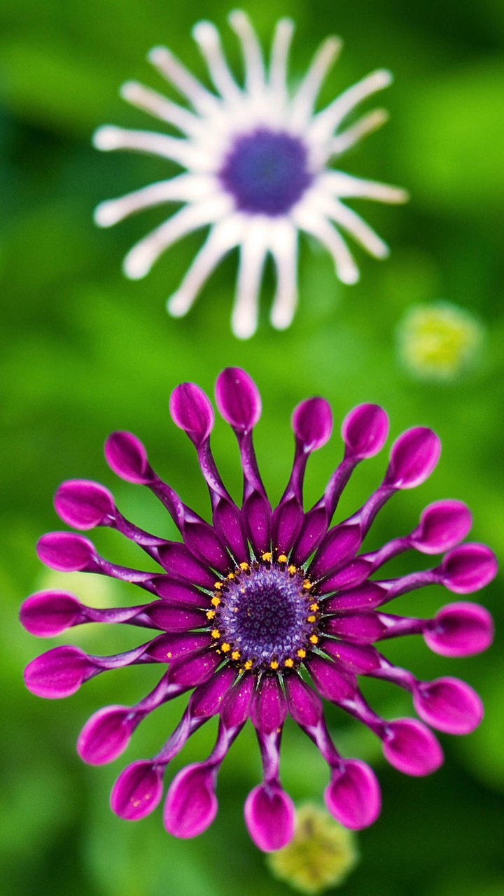 nature