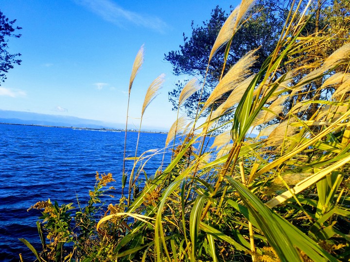 nature