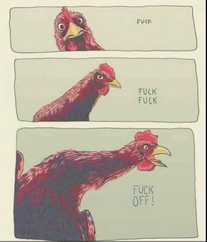 cock fun