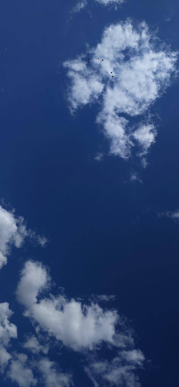 Sky