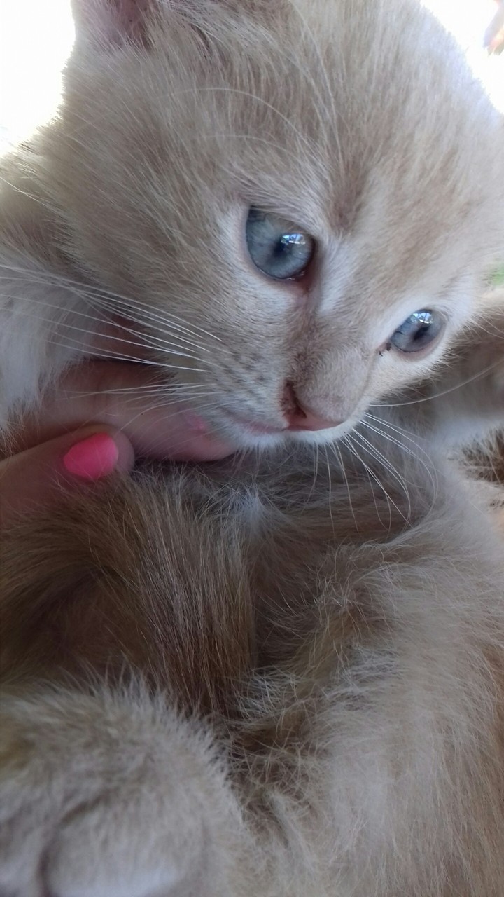 Baby
