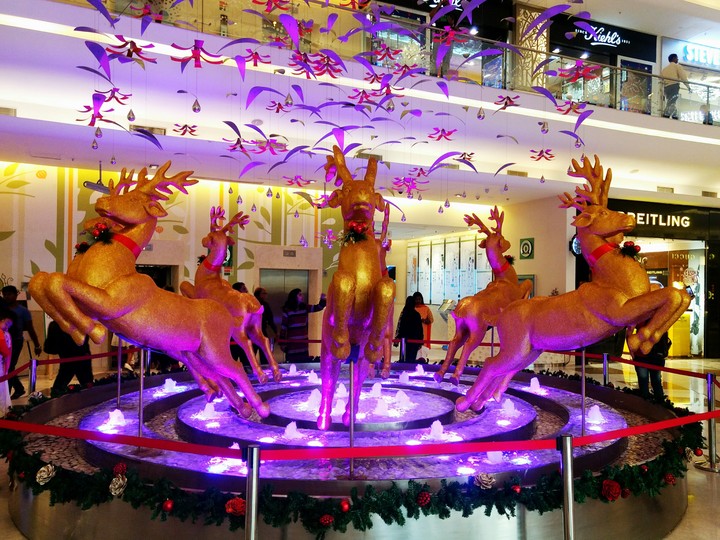 Reindeers