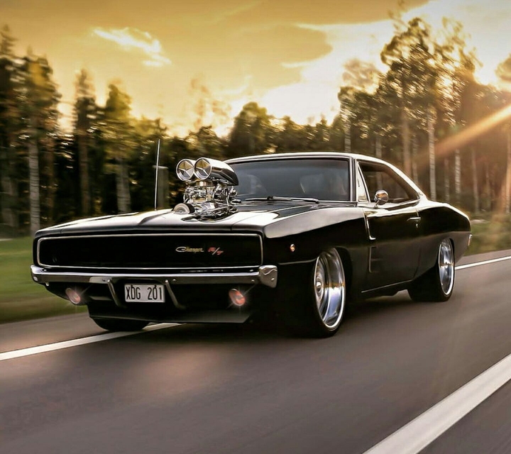 mustang