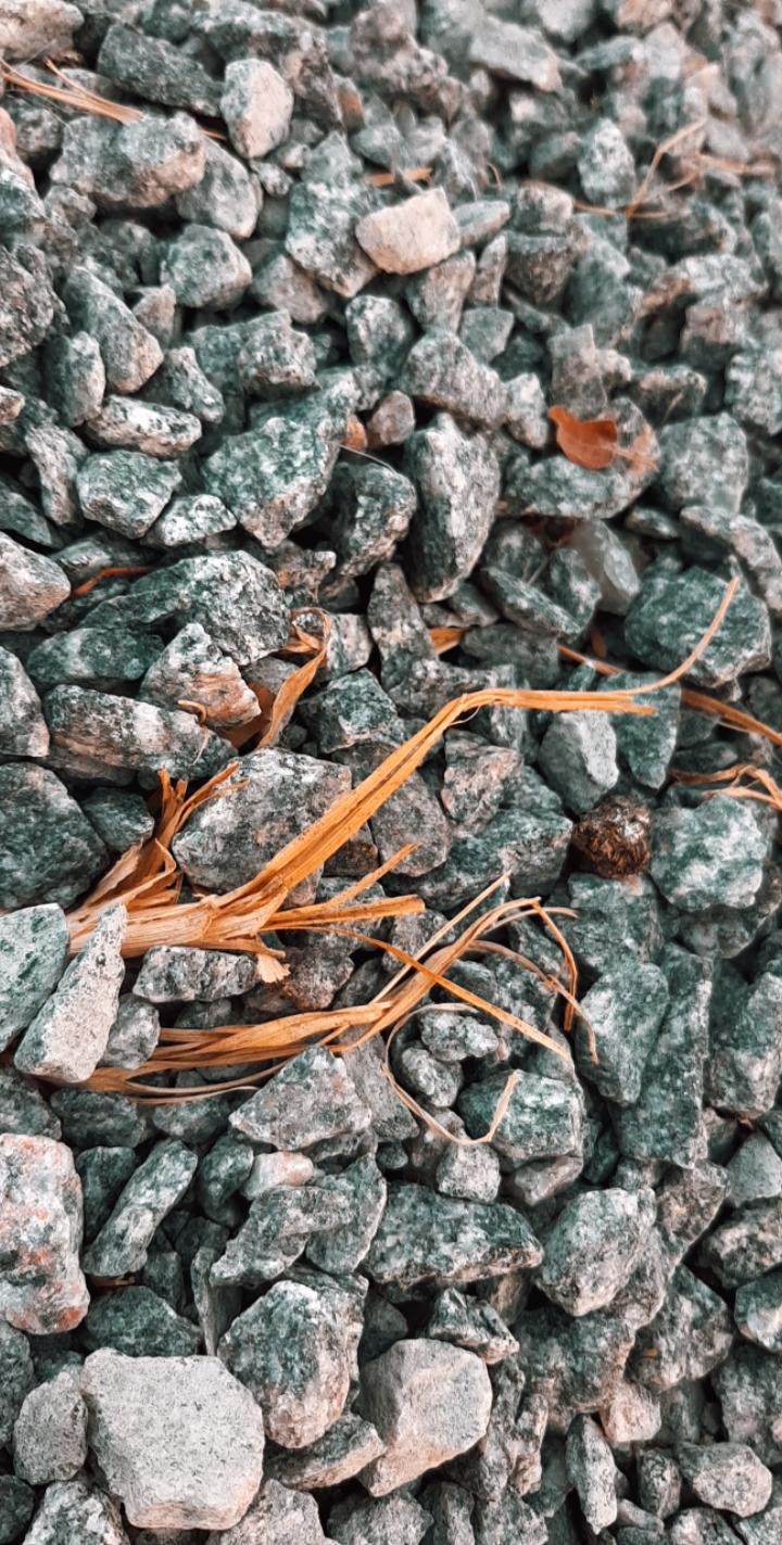 The stones