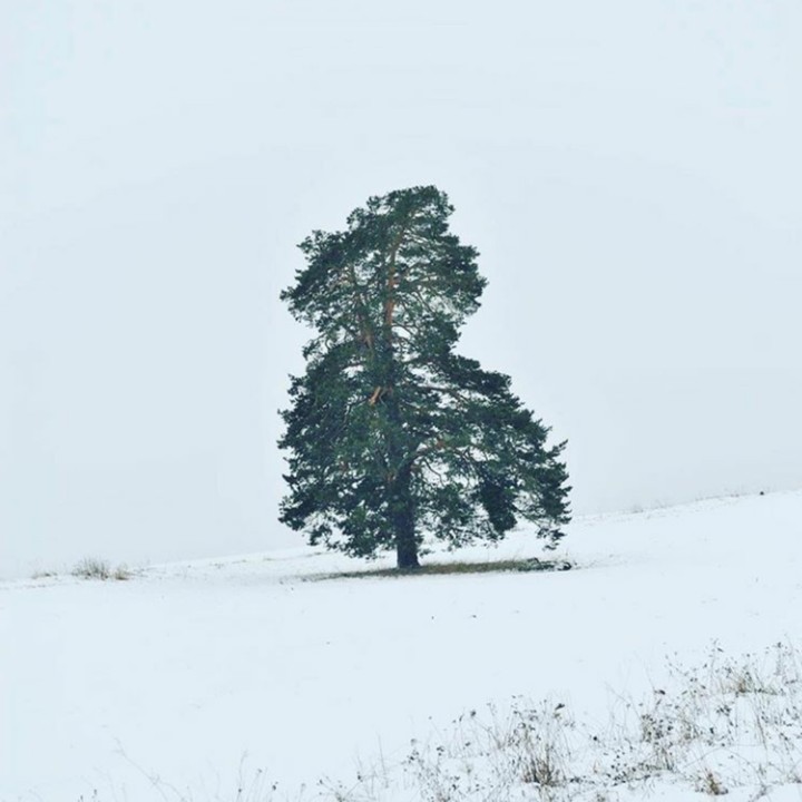natur