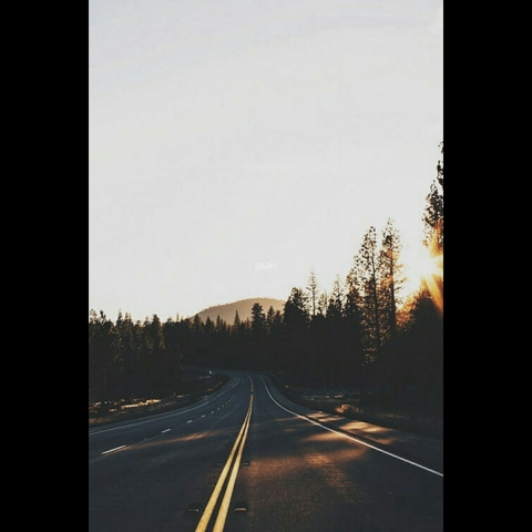 street