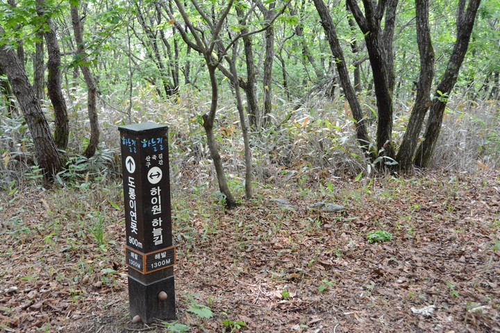 풍경이미지