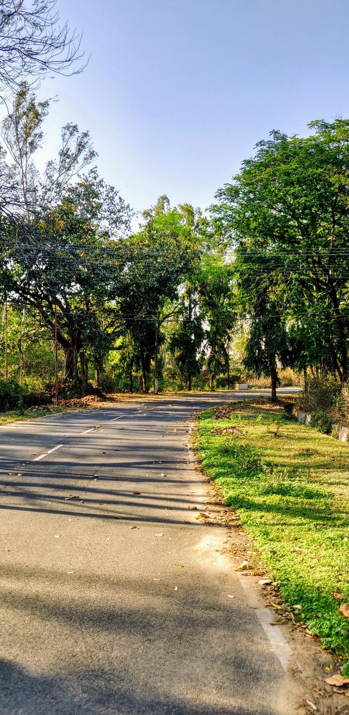 green roads
