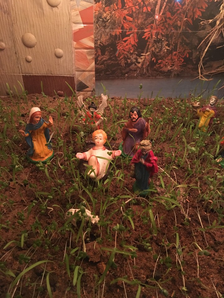 Jesus the king 