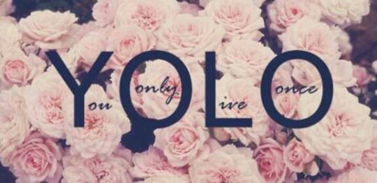 yolo