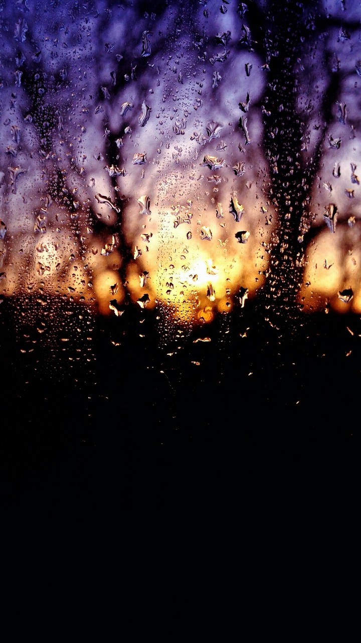 Rain