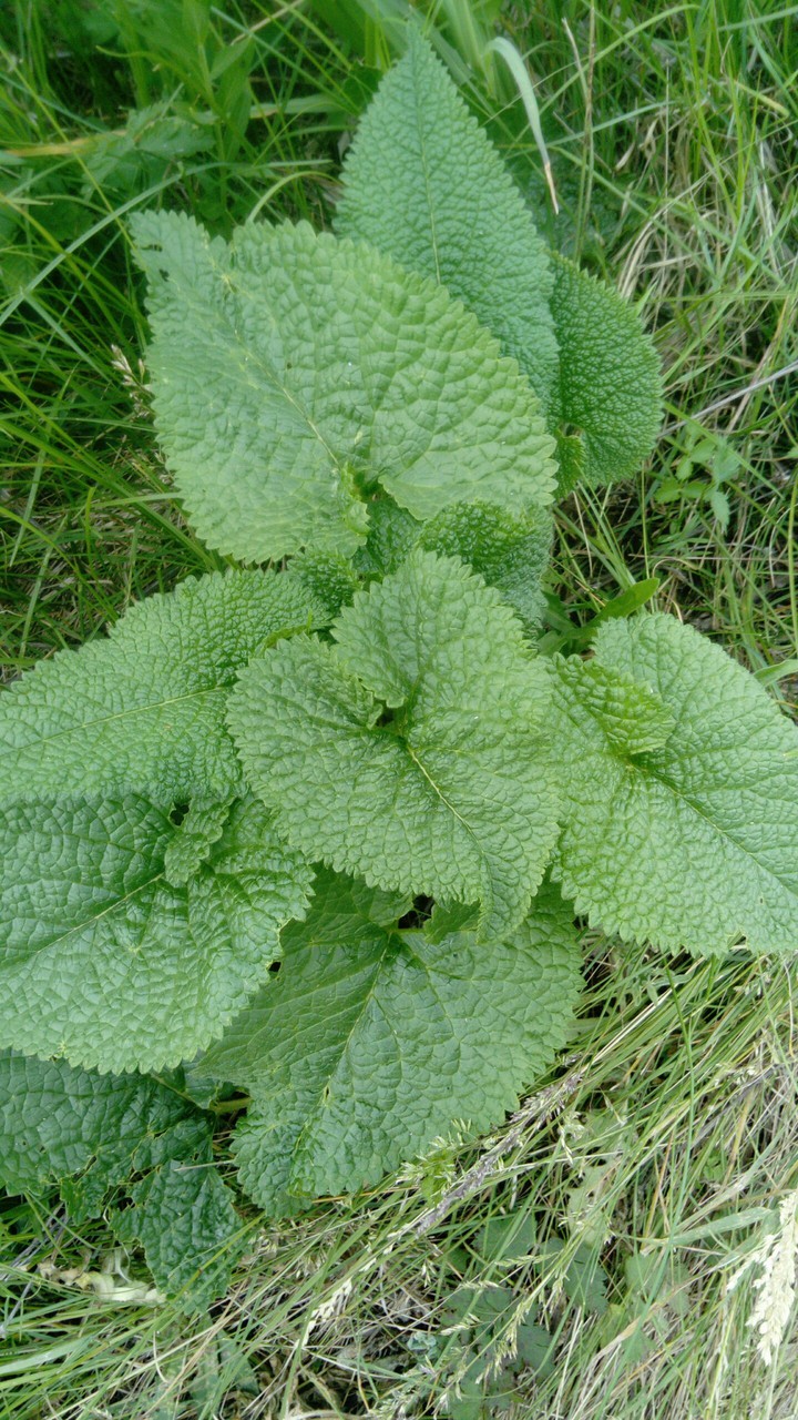 ?