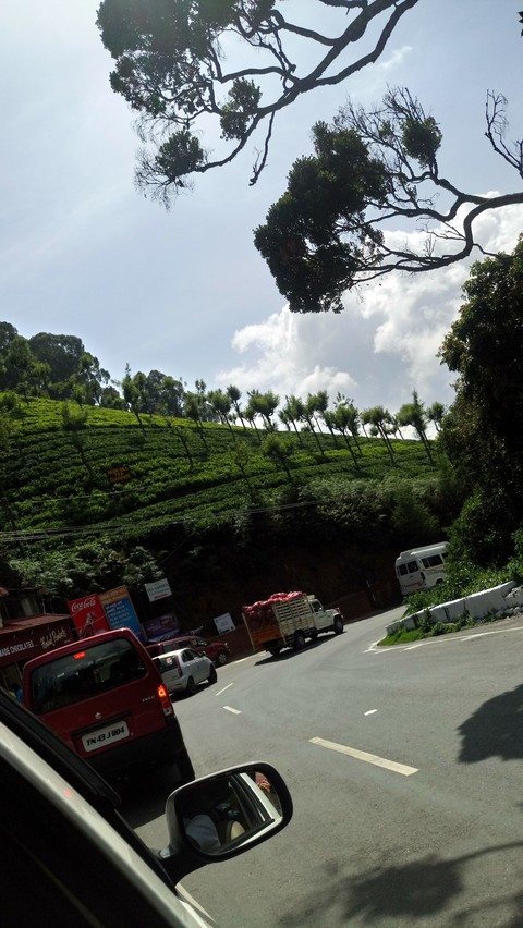 hills