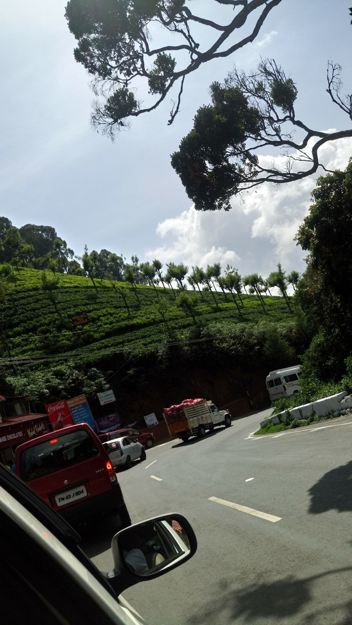 hills