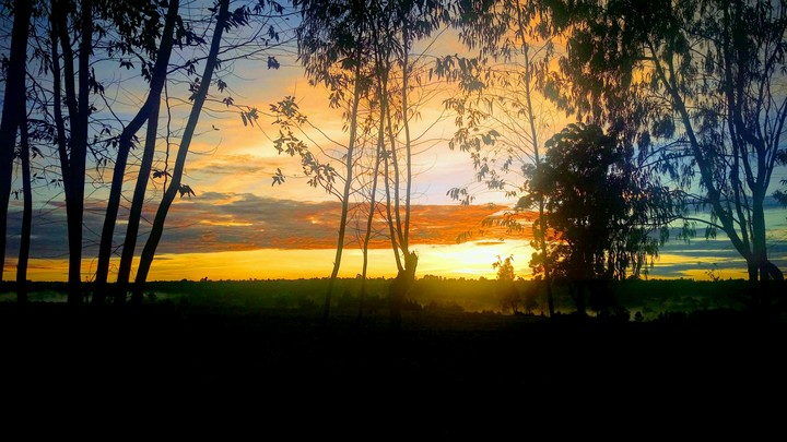took this during a morning walk with my mom