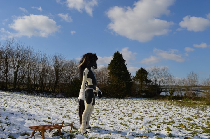 Rubber Horse
