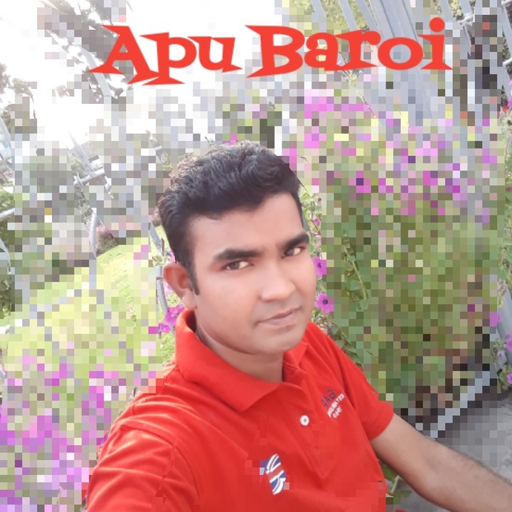apu baroi