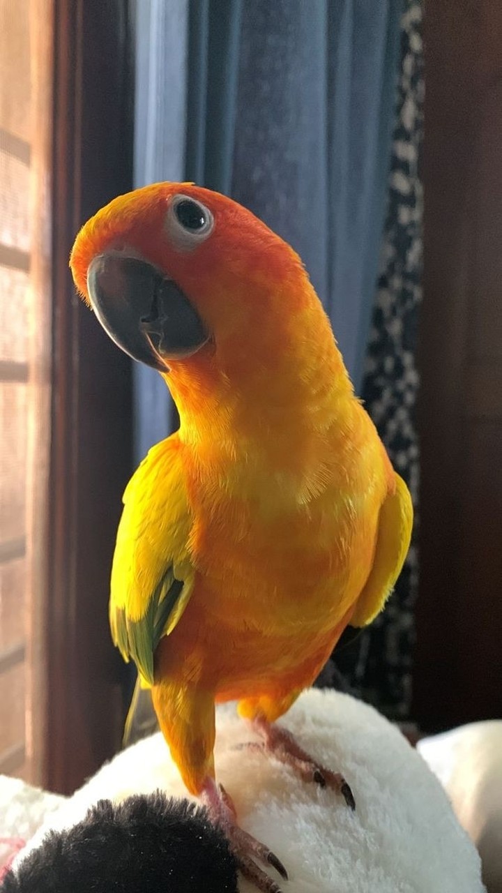 .