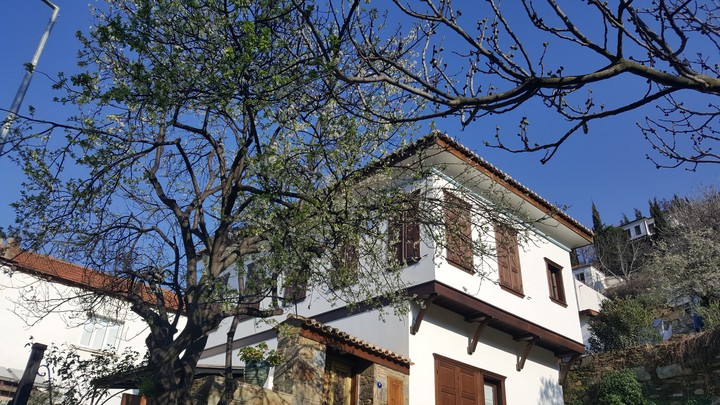 #house #home #turkey #bluesky #tree #building
