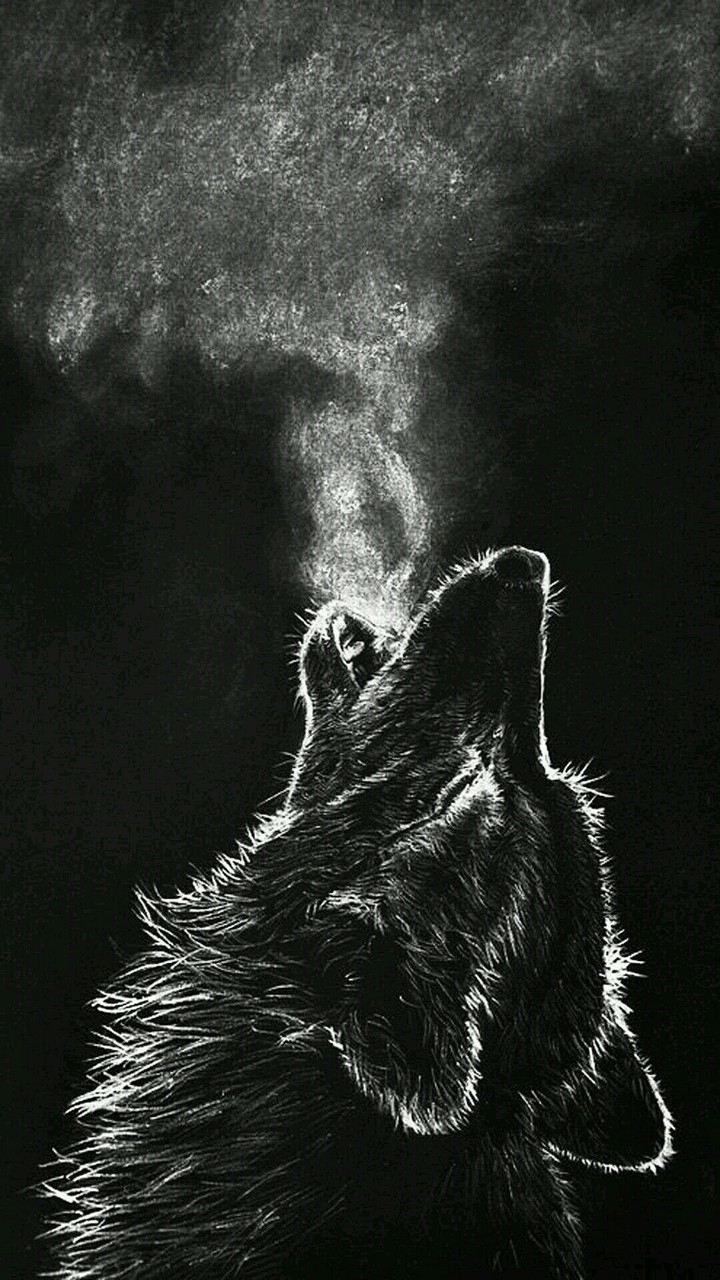 wolf vol.2