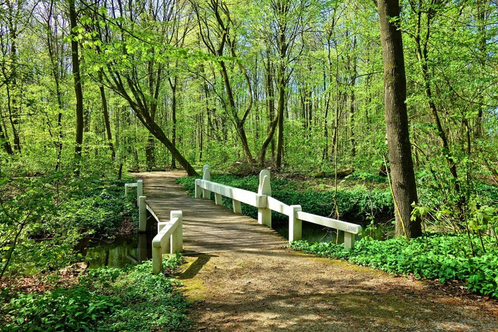 green walk