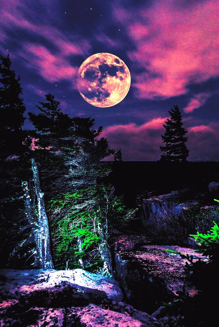 Beautiful Full Moon, Sky, & Landscape