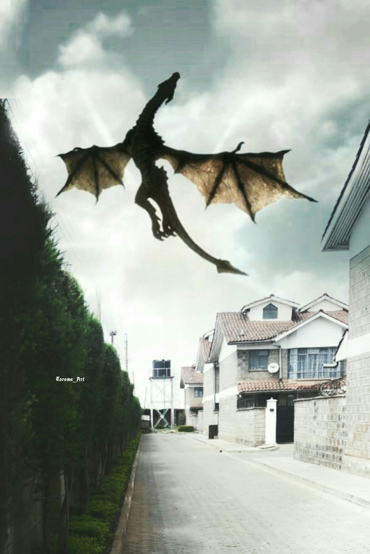 Dragon
