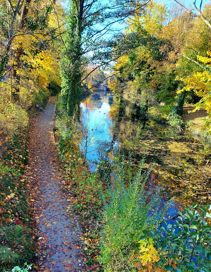 Spaziergang durch den Park