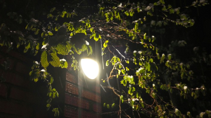 Street lamp