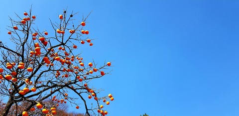 农产品, 天空壁纸